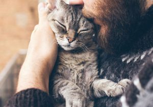 makiandampars - stress in pet animals