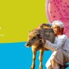 مقاومت آنتی بیوتیکی; هفته آگاه سازی مقاومت ضدمیکروبی 2025 (WAAW)