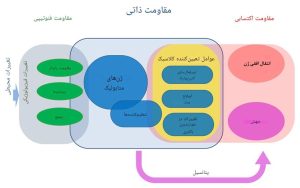 مقاومت آنتی بیوتیکی; هفته آگاه سازی مقاومت ضدمیکروبی 2025 (WAAW)