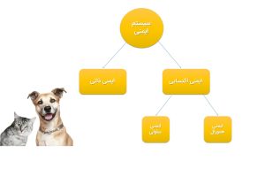 makiandampars - pet immune system