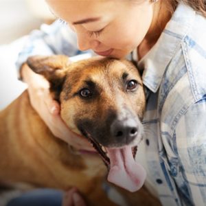 makiandampars - transmission of AMR between pets and human